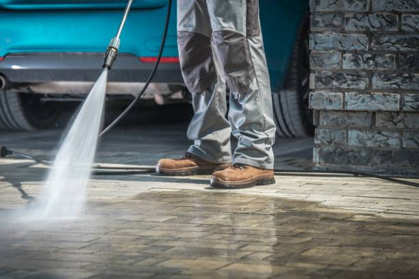 Best Residential Pressure Washing in Paw Paw, MI